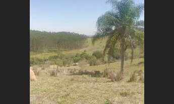 Imagem 5: Excelente chácara em santa branca