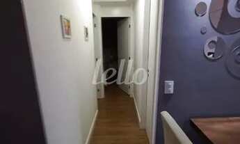 Imagem 7: São Paulo - Apartamento Padrão - Vila Guilherme