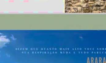 Imagem: PETRÓPOLIS - PADRÃO - ARARAS