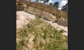 Imagem 2: Terreno Palmeiras Suzano