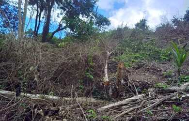 Imagem 4: Fazenda/Sítio/Chácara para venda tem 1100 metros quadrados em Guaratiba - Rio de Janeiro