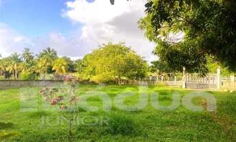 Imagem 5: Chácara à Venda no Povoado Matapoã - Mosqueiro