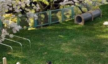 Imagem 4: Terreno 600m2 - Condomínio ALDEIA Santo Antônio a 20 minutos da HAVAN Goiânia