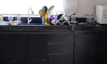 Imagem 4: Chácara morada nova