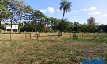 Imagem 14: TERRENO - Vila Nova - SP