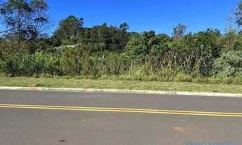 Imagem 7: TERRENO - LOTEAMENTO VALE DAS FLORES - SP