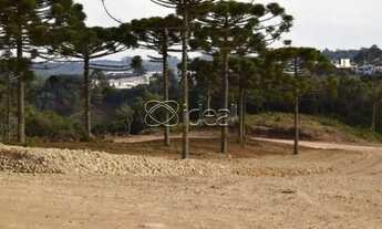 Imagem 2: EXCELENTE TERRENO INDUSTRIAL EM ANA RECH- CAXIAS DO SUL