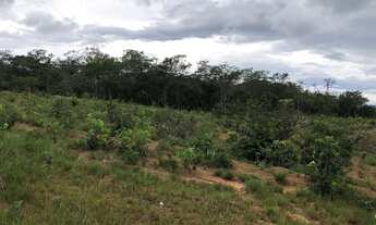 Imagem 6: Ótima chácara próximo a Bela Vista de Goiás