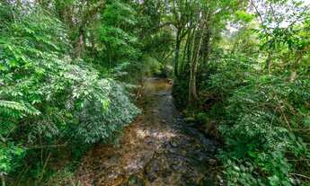 Imagem 3: Chácara com 899mil m² à venda em Campo Largo!