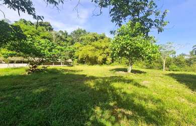 Imagem 4: Sítio na Comunidade Nossa Senhora de Fátima