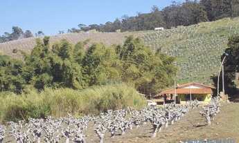 Imagem 5: SÍTIO - MACUCO - SP