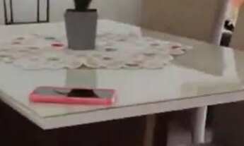 Imagem 3: Temporada no coração do jardim oceania