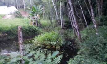 Imagem 5: Sítio com casa antiga e vista espetacular