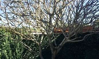 Imagem 2: BELA MANHÃ Casa em condomínio com 3 dormitórios