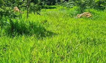 Imagem 7: Sitio 22 hectares valor 195.000