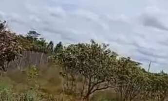 Imagem 6: Vende se terreno com área de 1.071m2 na região do Au au no município de alto Alegre