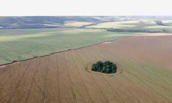 Imagem 2: Fazenda a venda, entre Paracatu e Cristalina / Goiás!