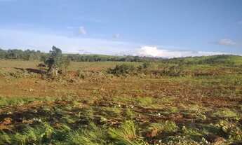 Imagem 3: Explore as Vantagens de Comprar uma Fazenda em Porto Nacional - Detalhes Aqui!