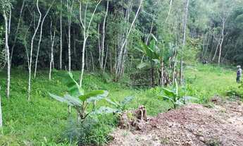 Imagem 3: Sítio com casa antiga e vista espetacular