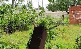 Imagem 3: LUCIANO CAVALCANTE - TERRENO - RUA LIBANES JOSE LOPES S/N L06 Q26, Aprox. 520m², Plano, Po