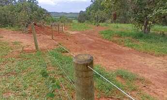 Imagem 6: Fazenda 81 alq. na região de Água Fria só R$ 8.000.000