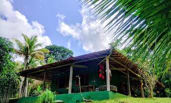 Imagem 3: Linda chácara ao lado de duas cachoeiras e pertinho das melhores praias de Itacaré BA