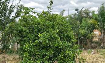 Imagem 7: Chacara Casa com 1 dormitório