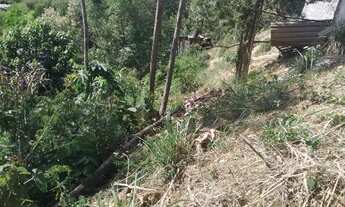 Imagem 3: Vende-se 1/2 Lote