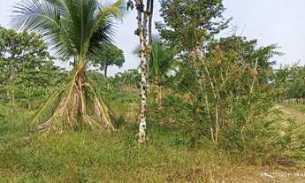 Imagem 5: Vendo Sítio na Estrada de Autazes