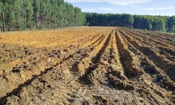 Imagem 6: Haras Fazenda região de Sorocaba