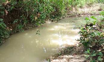 Imagem: Vende-se 7 alqueres município de Goiás