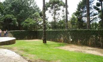 Imagem 7: Casa em Rua Serafim Capela - Vila Natal - Vila Abernéssia - Campos do Jordão/SP