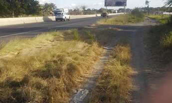 Imagem 7: Terra Chácara com venda por R$240.000