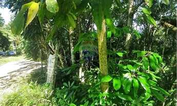 Imagem 3: Terreno Ilhabela com Financiamento