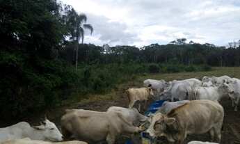 Imagem 2: Aceita permuta Fazenda / sítio com venda por R$3.800.000