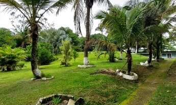 Imagem 6: Fazenda/Sítio/Chácara para venda tem 350 metros quadrados com 2 quartos