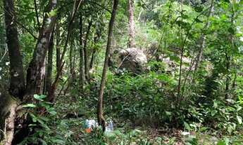 Imagem 5: Chácara Chácara com venda por R$110.000