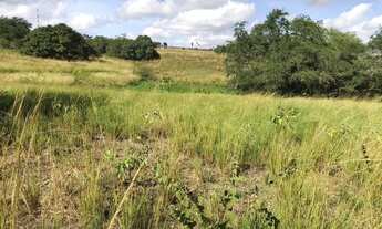Imagem 2: Chácara em Café do Vento