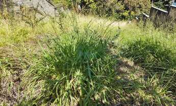 Imagem 3: Terreno em ótima localização do Caiçaras