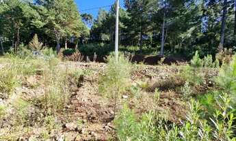 Imagem 6: Gramado - Terreno Padrão - Dutra