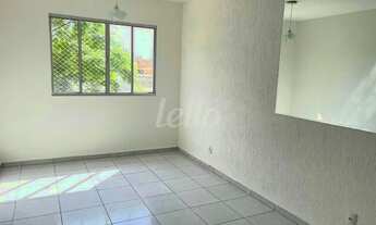 Imagem 2: São Paulo - Apartamento Padrão - Belém