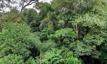 Imagem 6: Charmosa Casa Rústica Nova Térrea