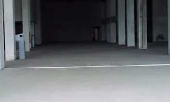 Imagem 3: COMERCIAL WYNN Galpão / depósito com 1 vaga na garagem