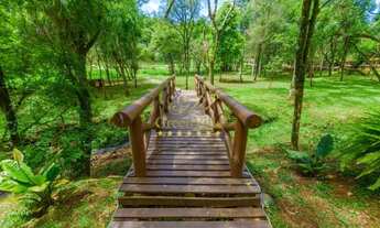 Imagem 6: Campo Largo, cinematográfica, 45.724m², piscina aquecida, poço artesiano