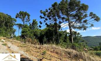 Imagem 3: Área de terras com 30.055,34 metros quadrados no Pinhal Alto Nova Petrópolis RS. Ref.:1126