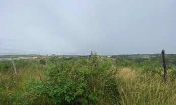 Imagem 4: Lote/Terreno para venda possui 40 ha em Moreno - Pernambuco