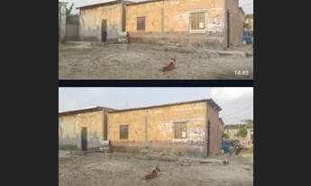 Imagem 2: Vendo essa casa motivo viagem