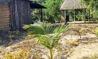 Imagem 4: Comunidade Castela 32 frente, 200 de fundos