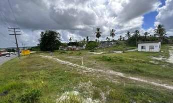 Imagem 5: Grande Oportunidade de terreno com 22.000 metros em Dias Dávila. Perto de tudo!