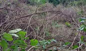 Imagem 2: Fazenda/Sítio/Chácara para venda tem 1100 metros quadrados em Guaratiba - Rio de Janeiro